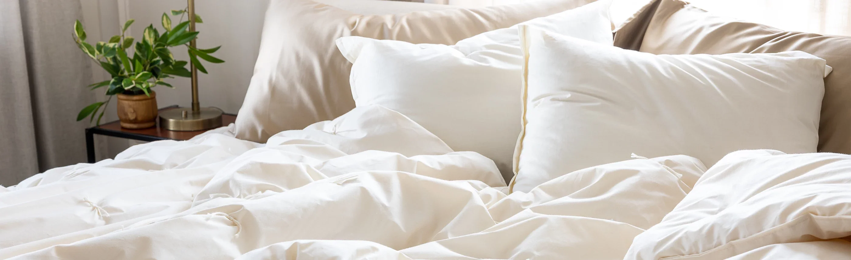 Timeless Comfort Since 1894